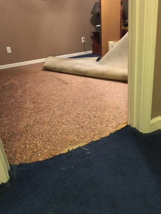 Carpet pad removal revealing water damage during Water Mitigation Services in Corning